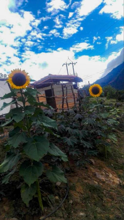 Hostal Las Valkirias Matanza エクステリア 写真