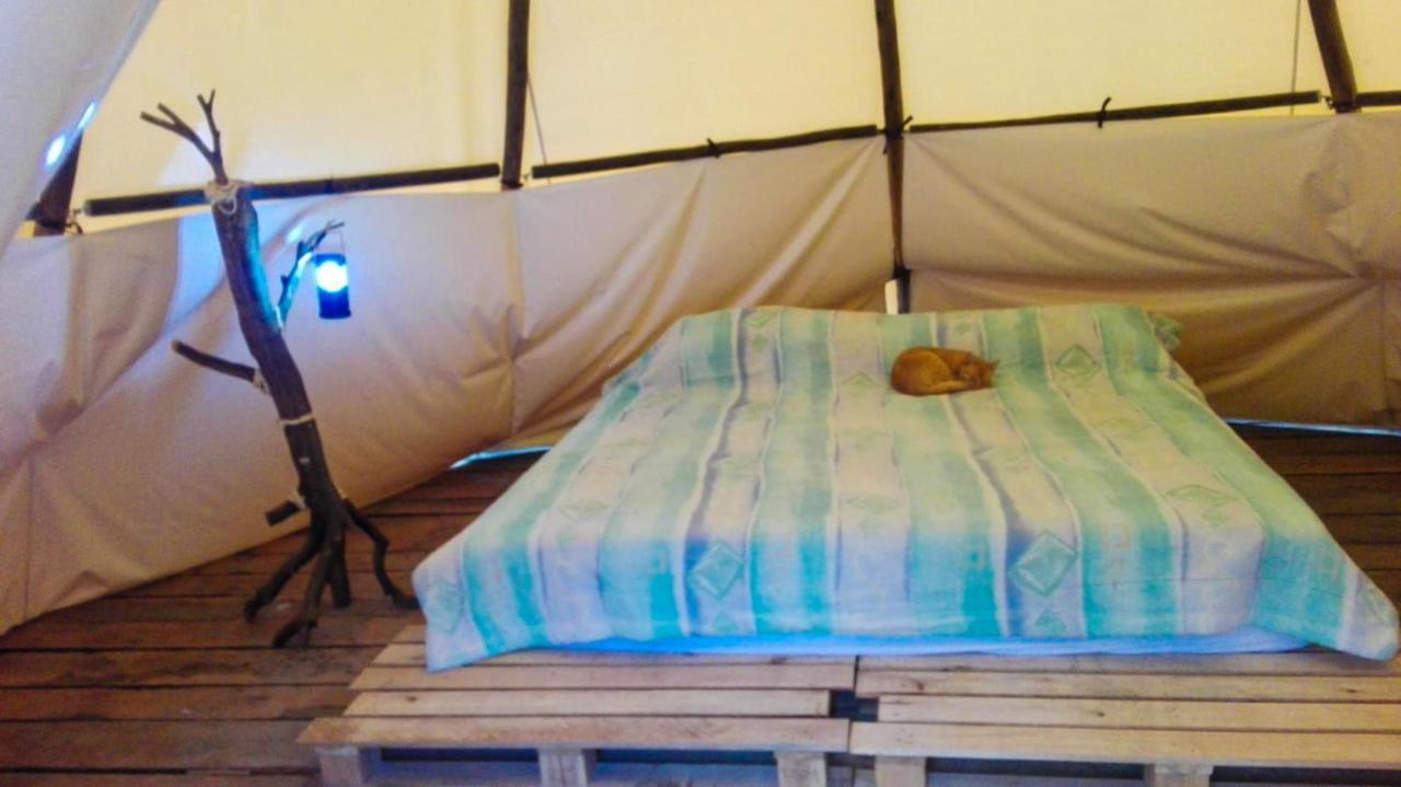 Hostal Las Valkirias Matanza エクステリア 写真